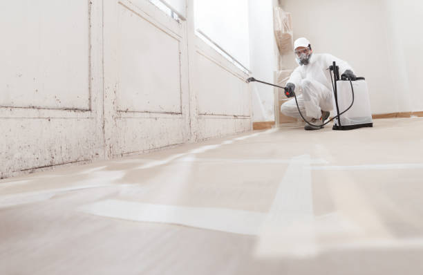 24/7 Emergency Black Mold Removal experts in Ashland, OR