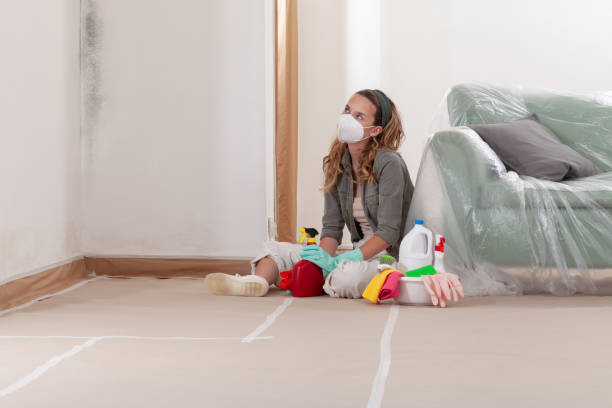 Reliable Black Mold Removal contractor in Ashland, OR by WQB Mold Removal