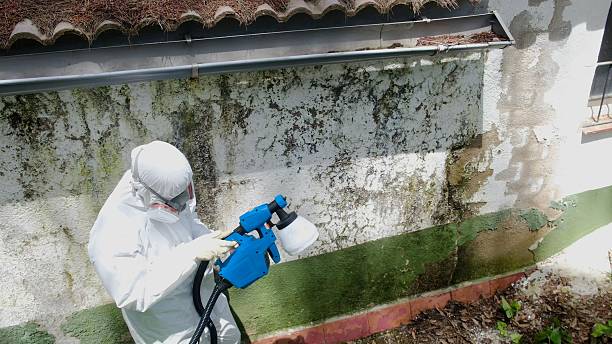 Top rated local Black Mold Removal specialists in Ashland, OR